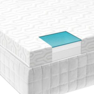 The Back Store - Isolus 2.5" Liquid Gel Memory Foam Overlay By Malouf